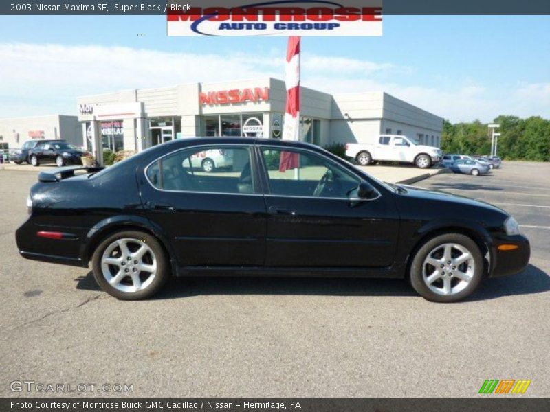 Super Black / Black 2003 Nissan Maxima SE
