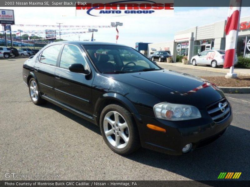 Super Black / Black 2003 Nissan Maxima SE