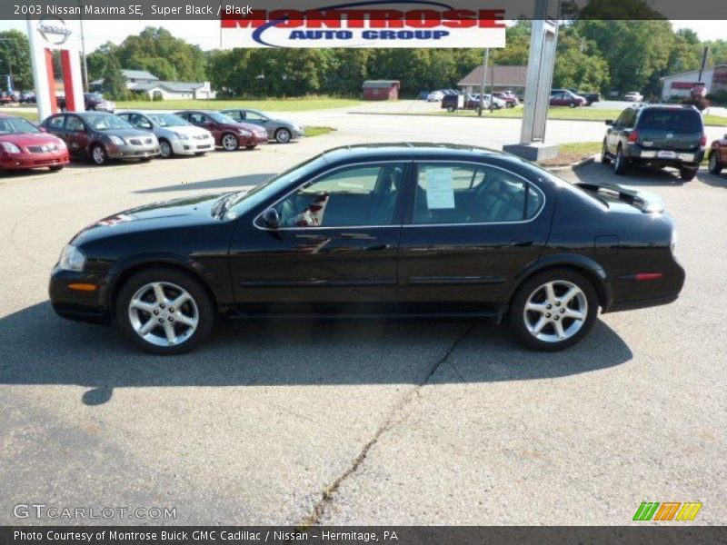 Super Black / Black 2003 Nissan Maxima SE