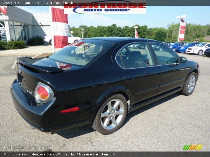 Super Black / Black 2003 Nissan Maxima SE