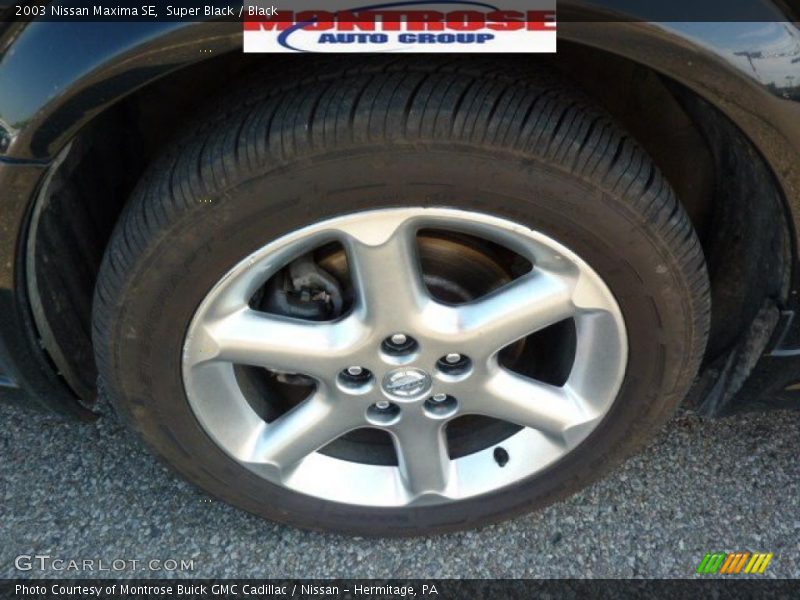 Super Black / Black 2003 Nissan Maxima SE