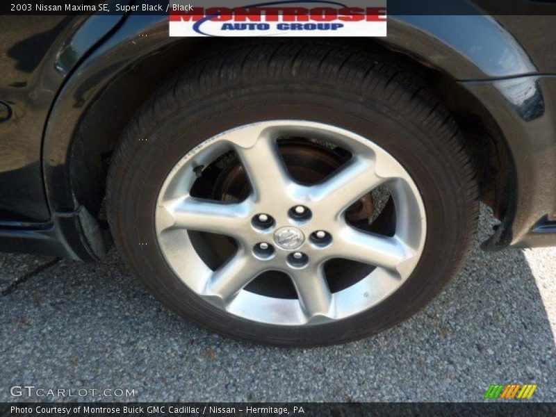 Super Black / Black 2003 Nissan Maxima SE