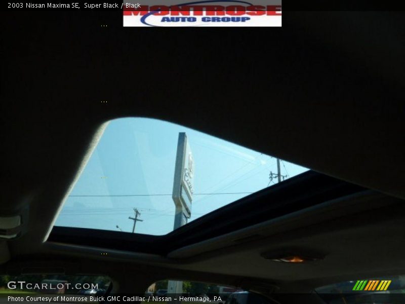 Super Black / Black 2003 Nissan Maxima SE