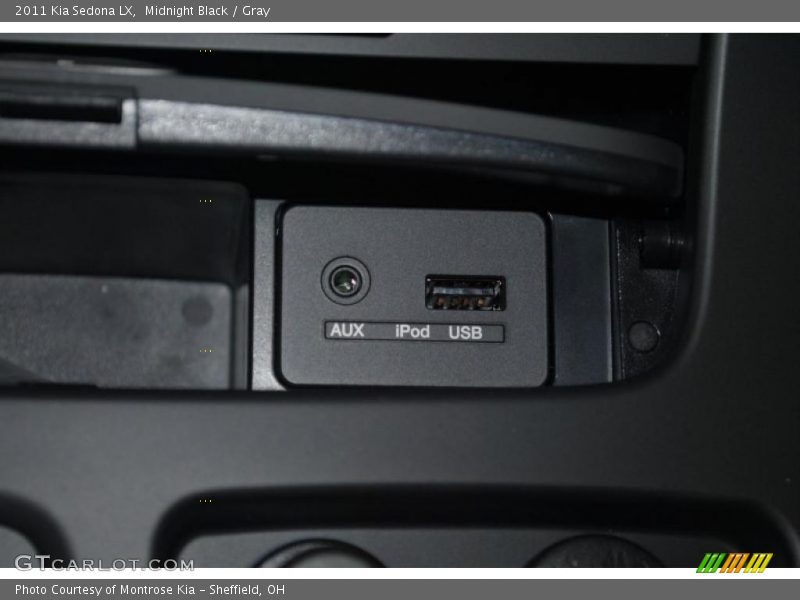 Midnight Black / Gray 2011 Kia Sedona LX