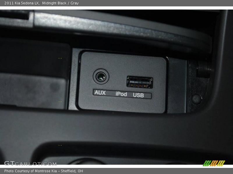 Midnight Black / Gray 2011 Kia Sedona LX