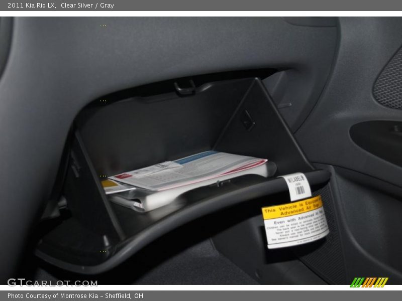 Clear Silver / Gray 2011 Kia Rio LX