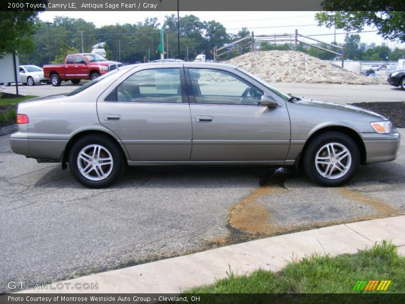 Antique Sage Pearl / Gray 2000 Toyota Camry LE