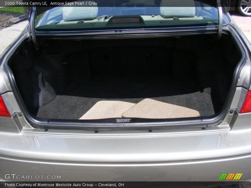 Antique Sage Pearl / Gray 2000 Toyota Camry LE