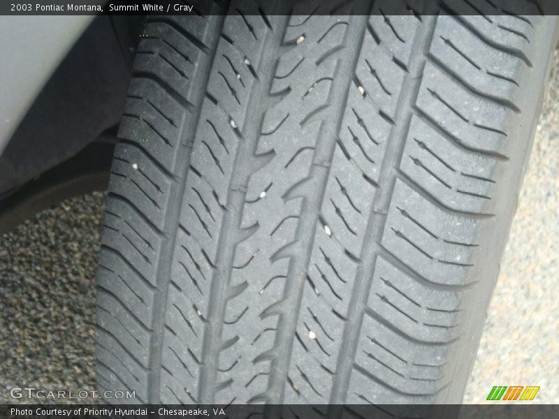 Summit White / Gray 2003 Pontiac Montana