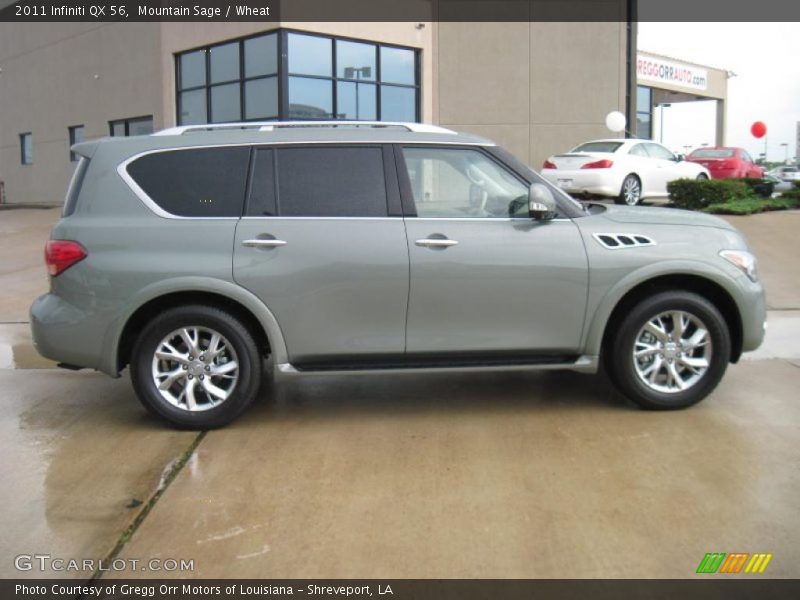 Mountain Sage / Wheat 2011 Infiniti QX 56