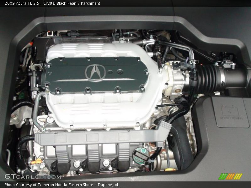 Crystal Black Pearl / Parchment 2009 Acura TL 3.5