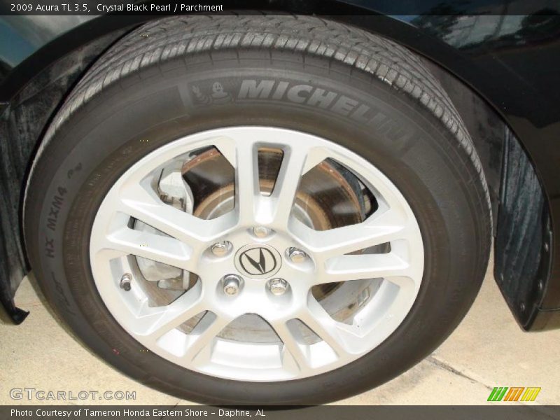 Crystal Black Pearl / Parchment 2009 Acura TL 3.5
