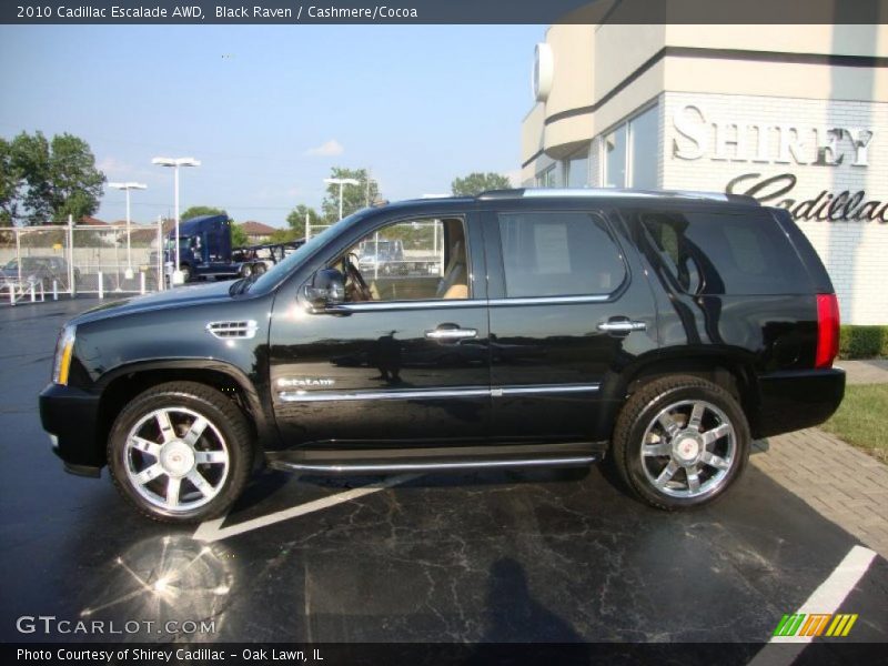 Black Raven / Cashmere/Cocoa 2010 Cadillac Escalade AWD