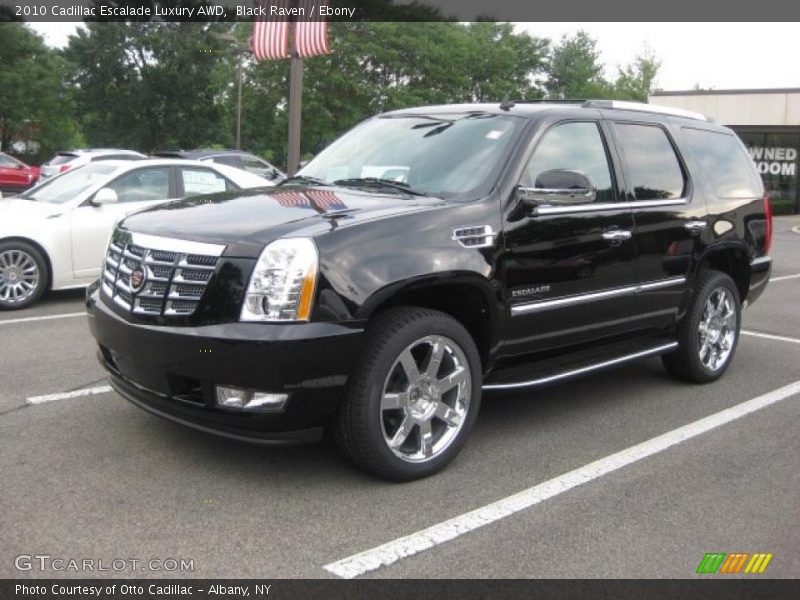 Black Raven / Ebony 2010 Cadillac Escalade Luxury AWD