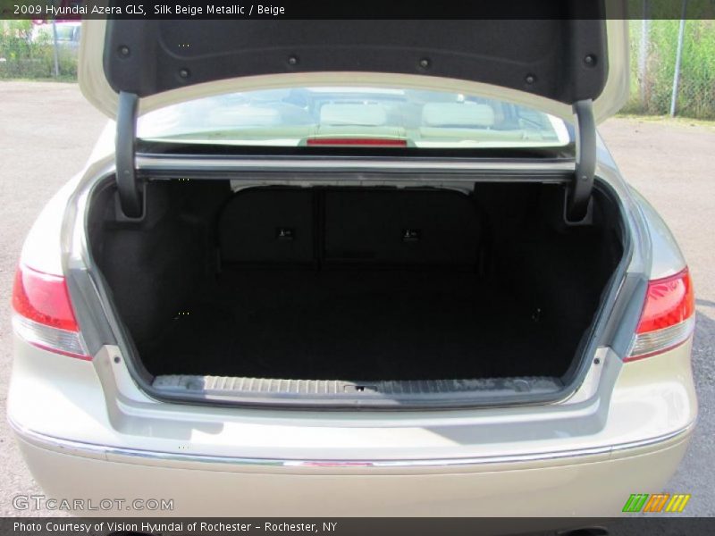 Silk Beige Metallic / Beige 2009 Hyundai Azera GLS