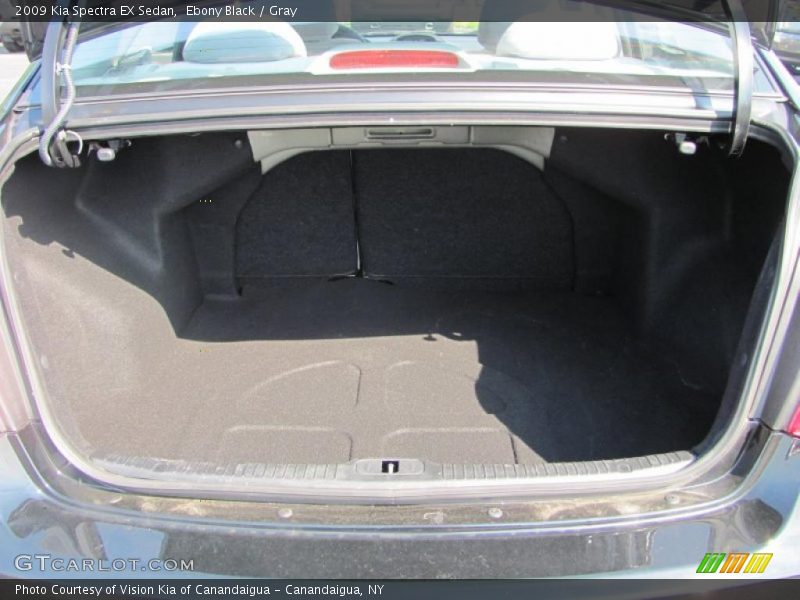 Ebony Black / Gray 2009 Kia Spectra EX Sedan