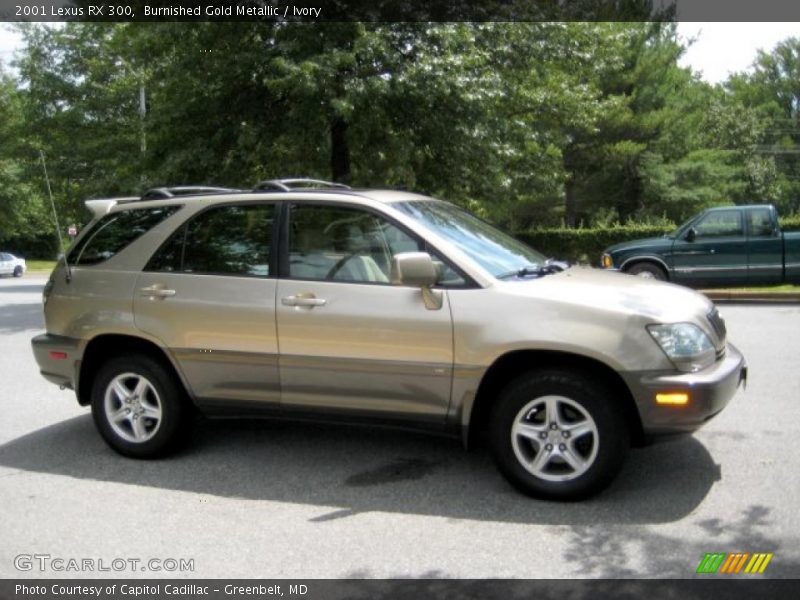 Burnished Gold Metallic / Ivory 2001 Lexus RX 300
