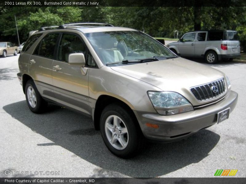 Burnished Gold Metallic / Ivory 2001 Lexus RX 300