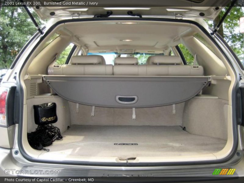 Burnished Gold Metallic / Ivory 2001 Lexus RX 300