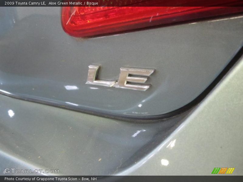 Aloe Green Metallic / Bisque 2009 Toyota Camry LE