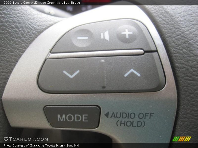 Aloe Green Metallic / Bisque 2009 Toyota Camry LE