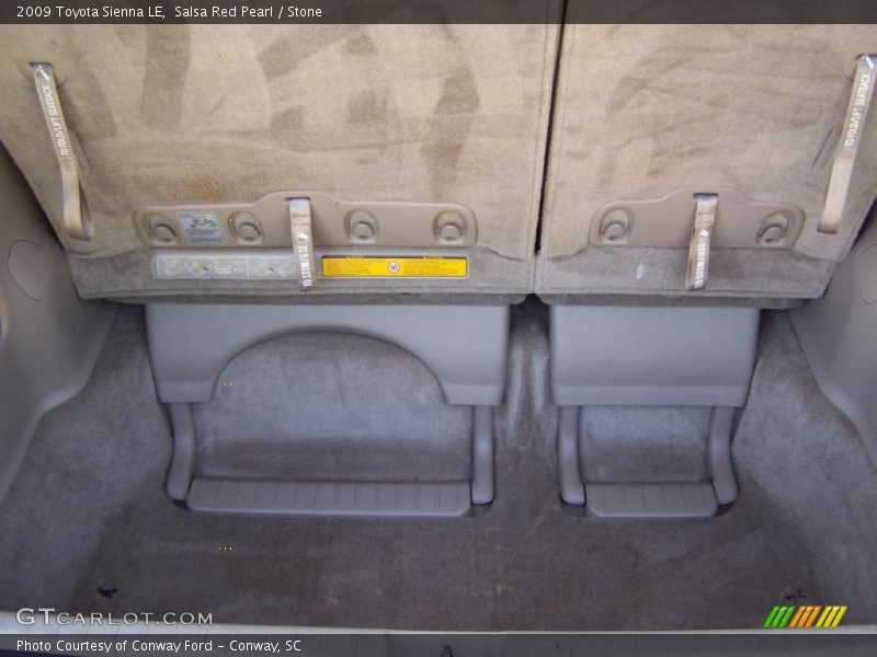 Salsa Red Pearl / Stone 2009 Toyota Sienna LE