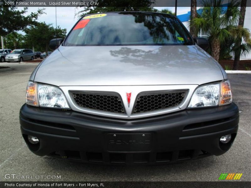 Liquid Silver Metallic / Gray 2005 Pontiac Montana