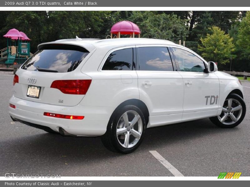 Calla White / Black 2009 Audi Q7 3.0 TDI quattro