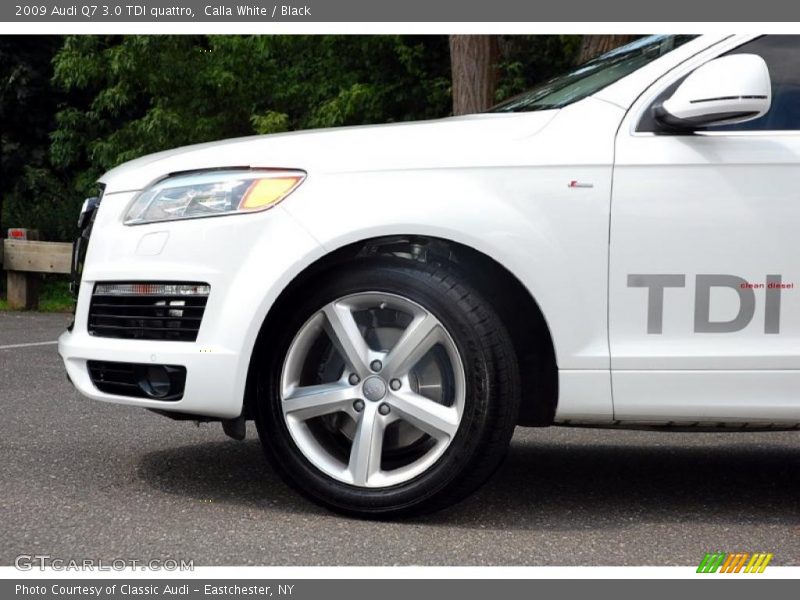 Calla White / Black 2009 Audi Q7 3.0 TDI quattro