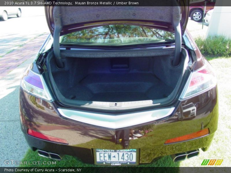 Mayan Bronze Metallic / Umber Brown 2010 Acura TL 3.7 SH-AWD Technology