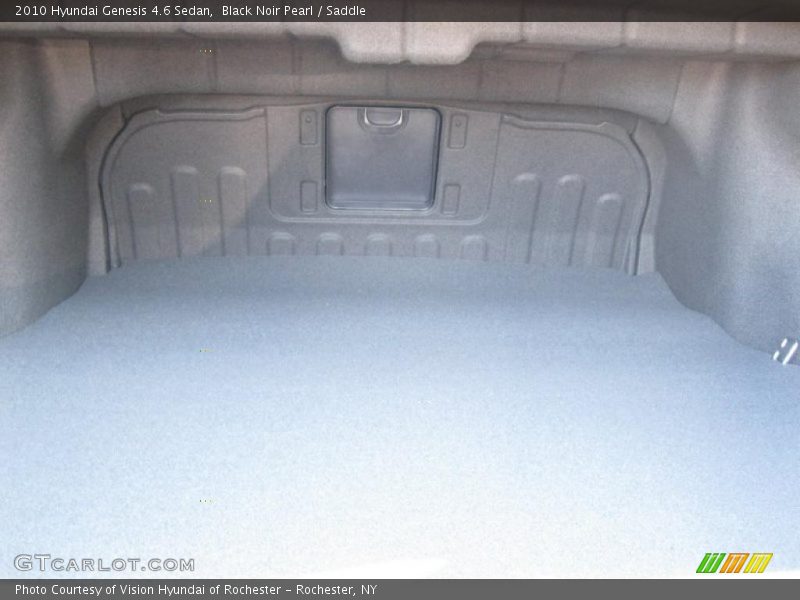 Black Noir Pearl / Saddle 2010 Hyundai Genesis 4.6 Sedan