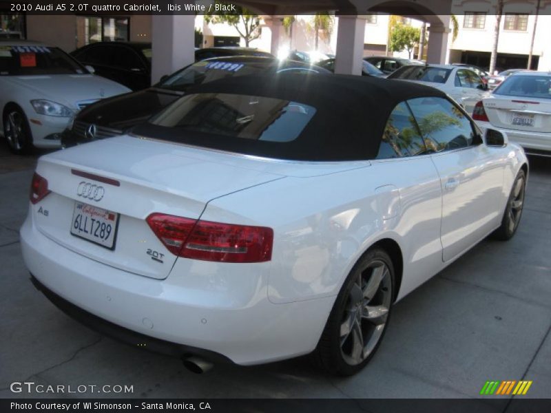 Ibis White / Black 2010 Audi A5 2.0T quattro Cabriolet