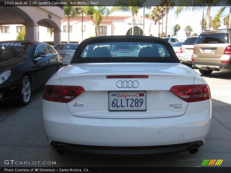 Ibis White / Black 2010 Audi A5 2.0T quattro Cabriolet