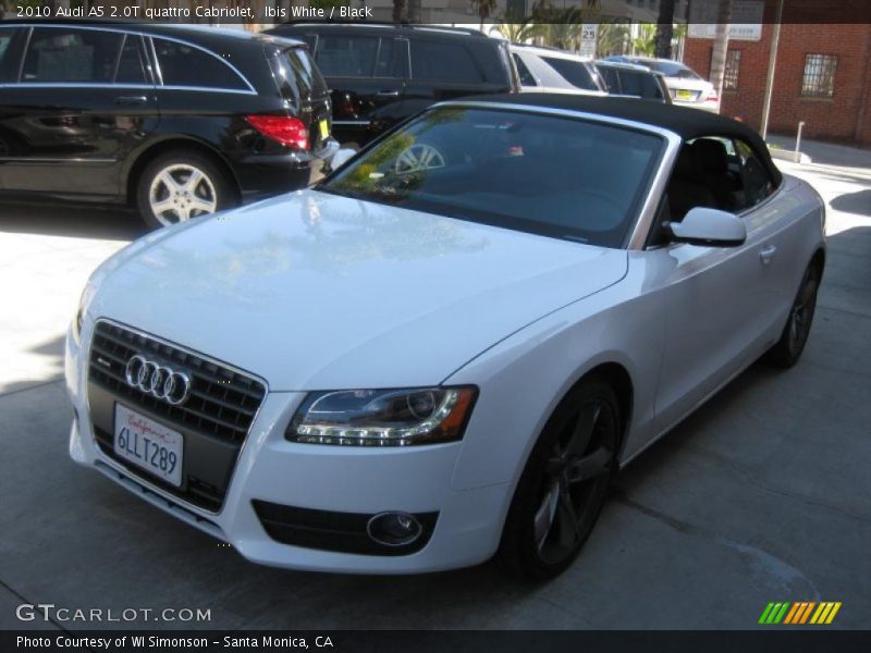 Ibis White / Black 2010 Audi A5 2.0T quattro Cabriolet