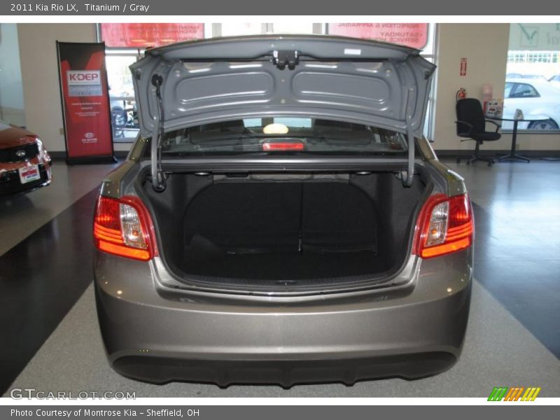 Titanium / Gray 2011 Kia Rio LX