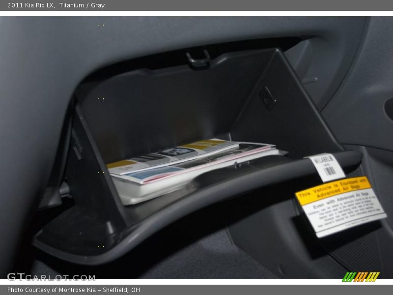 Titanium / Gray 2011 Kia Rio LX