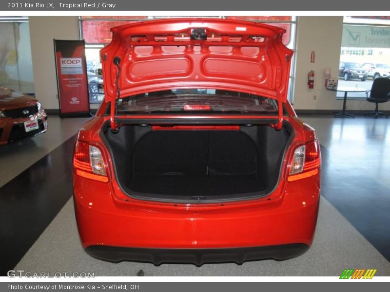 Tropical Red / Gray 2011 Kia Rio LX