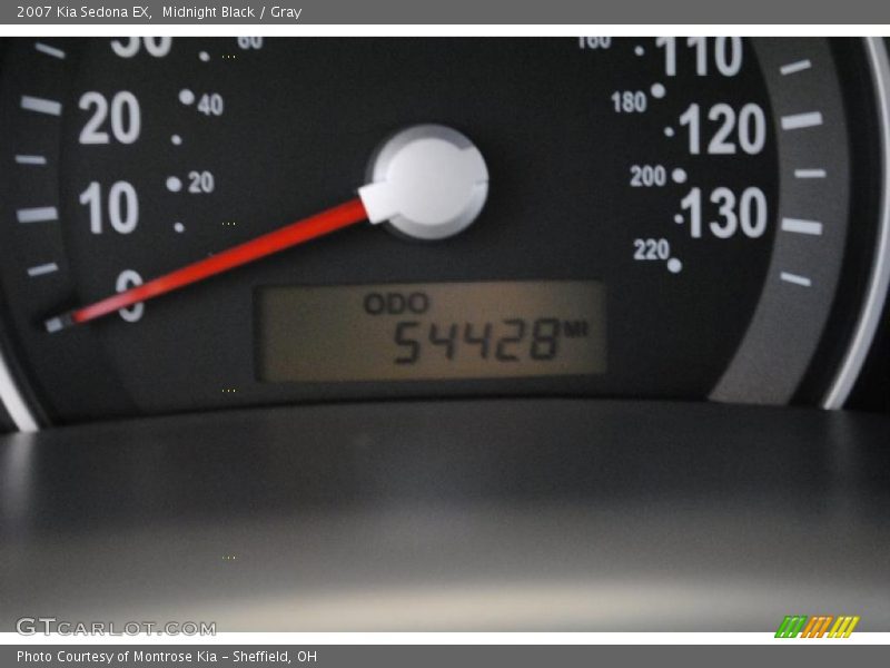 Midnight Black / Gray 2007 Kia Sedona EX