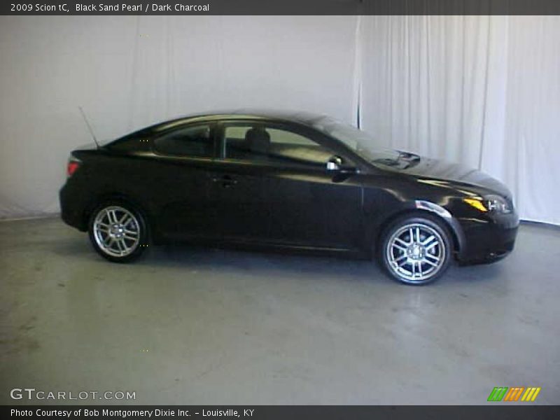 Black Sand Pearl / Dark Charcoal 2009 Scion tC