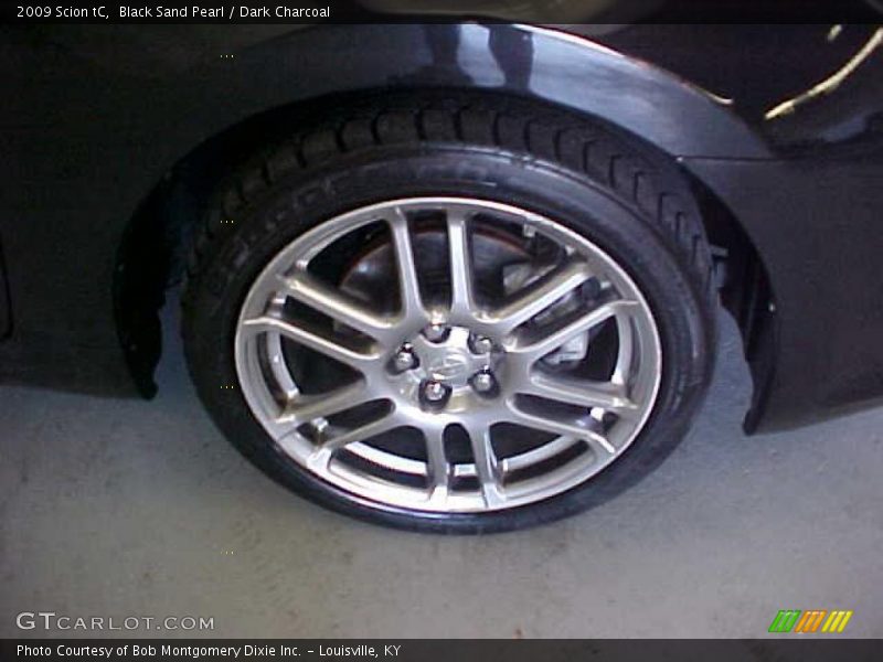 Black Sand Pearl / Dark Charcoal 2009 Scion tC
