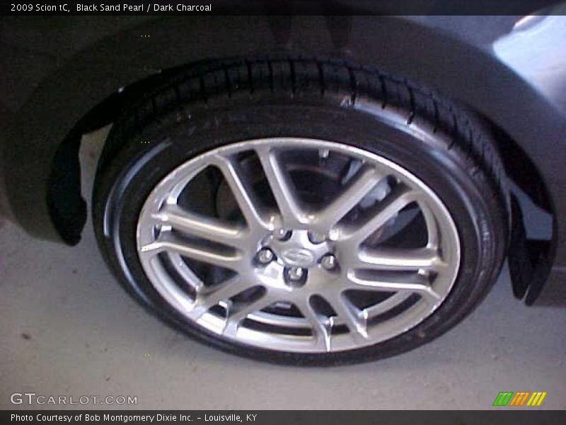 Black Sand Pearl / Dark Charcoal 2009 Scion tC