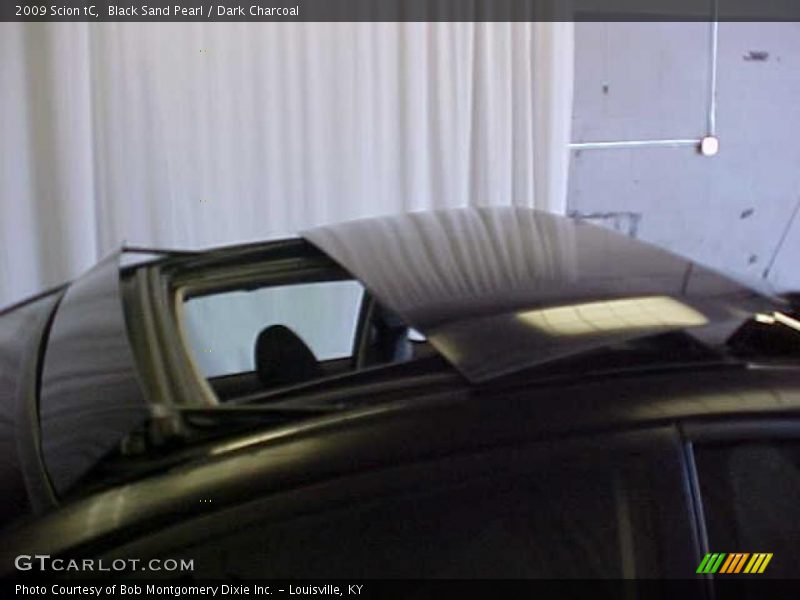 Black Sand Pearl / Dark Charcoal 2009 Scion tC