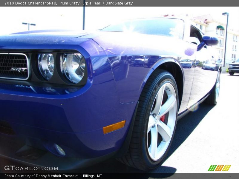 Plum Crazy Purple Pearl / Dark Slate Gray 2010 Dodge Challenger SRT8