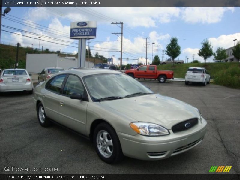 Gold Ash Metallic / Dark Pebble 2007 Ford Taurus SE
