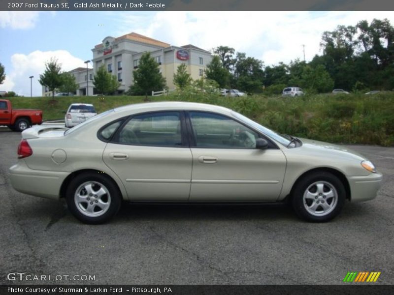 Gold Ash Metallic / Dark Pebble 2007 Ford Taurus SE