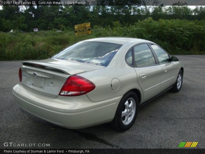 Gold Ash Metallic / Dark Pebble 2007 Ford Taurus SE