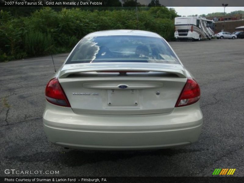 Gold Ash Metallic / Dark Pebble 2007 Ford Taurus SE