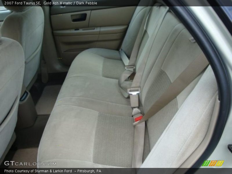 Gold Ash Metallic / Dark Pebble 2007 Ford Taurus SE
