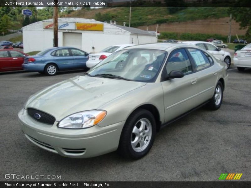 Gold Ash Metallic / Dark Pebble 2007 Ford Taurus SE