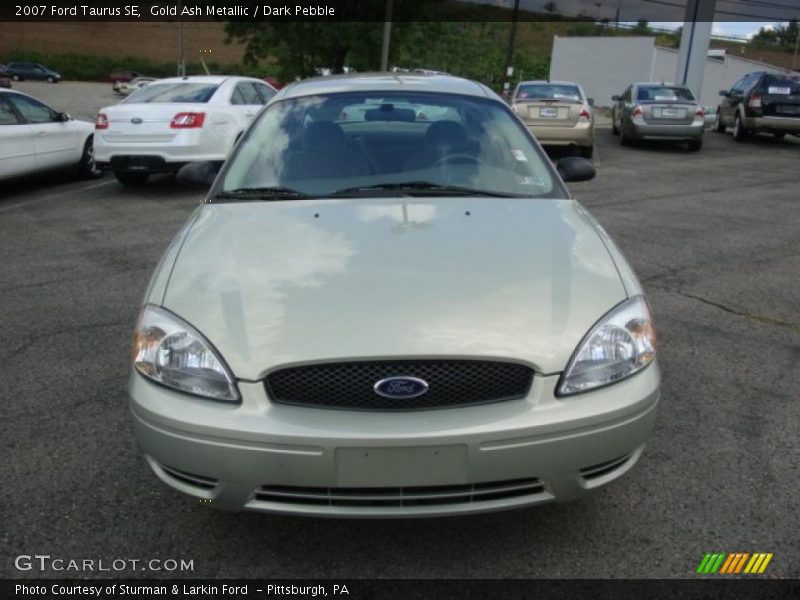 Gold Ash Metallic / Dark Pebble 2007 Ford Taurus SE